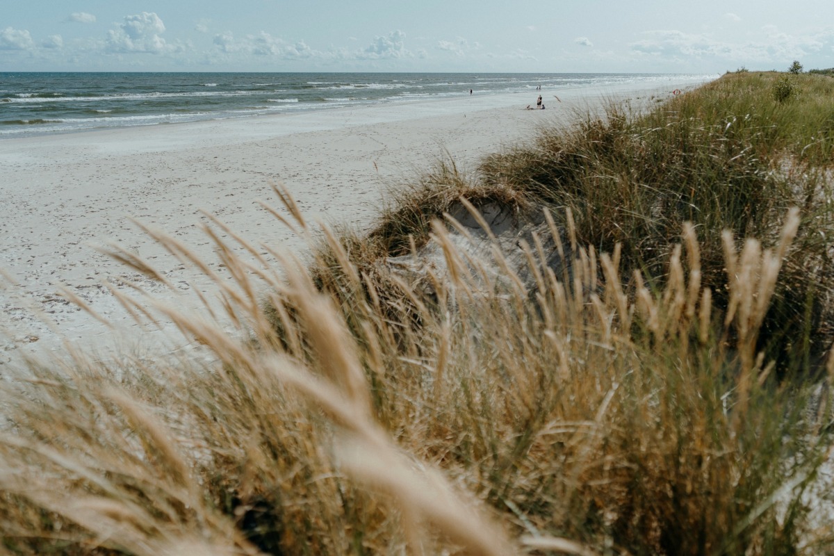 jonas jacobsson I 5e GggWCM unsplash